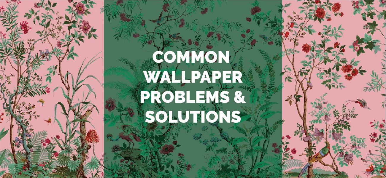 Common Wallpaper Problems & Solutions cover
